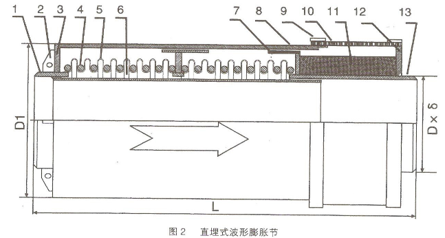 圖片5